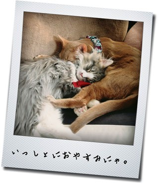 アルト君＆ボレロ君