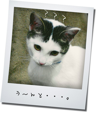 考えるソラ君