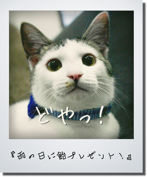 どや顔ソラ君