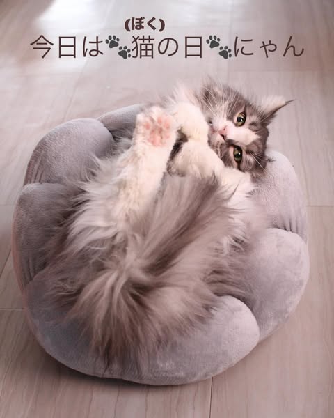 画像の説明