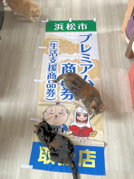 画像の説明