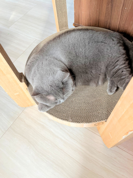 画像の説明