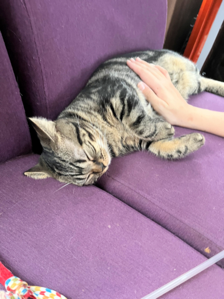 画像の説明 画像の説明