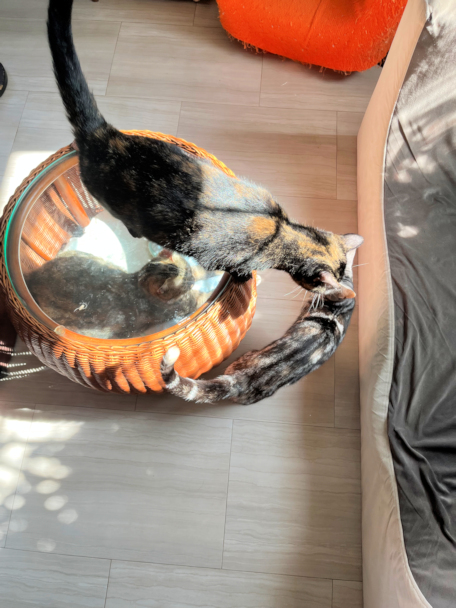 画像の説明 画像の説明