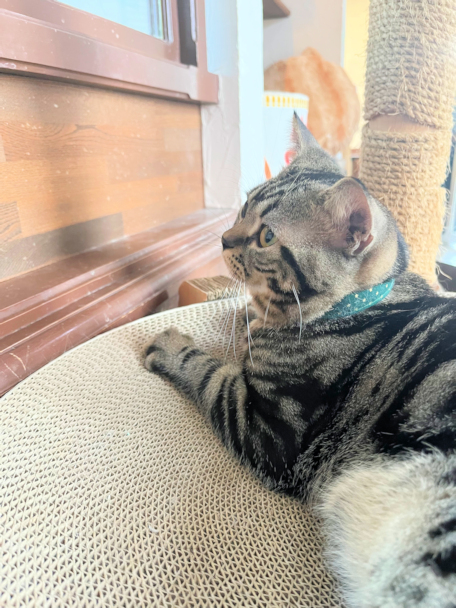 画像の説明 画像の説明