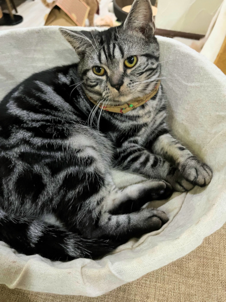 画像の説明 画像の説明