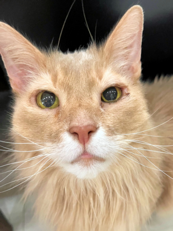 画像の説明 画像の説明