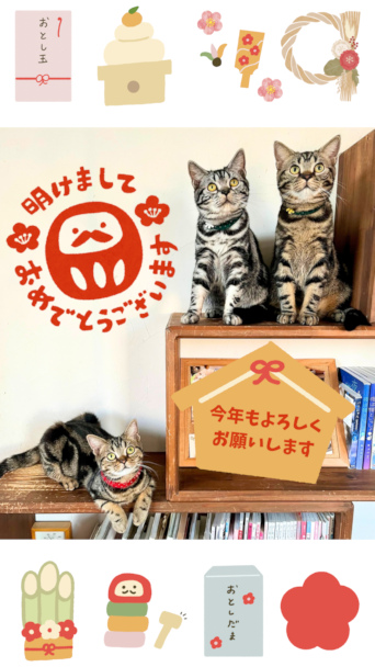 今年もよろしく お願いします